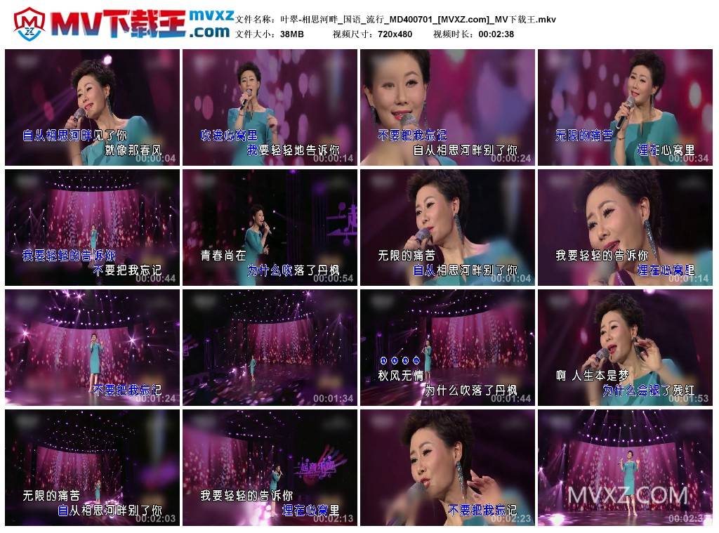 叶翠-相思河畔_国语_流行_MD400701